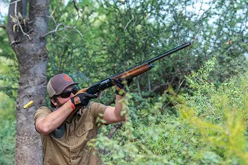 Dove Shooting
