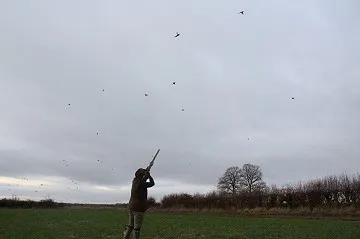 Game Shooting