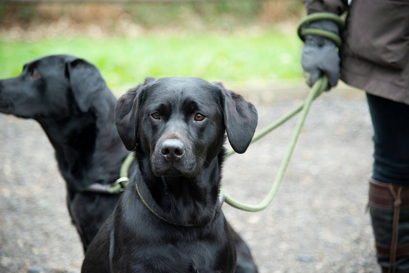 A well-stocked shop...